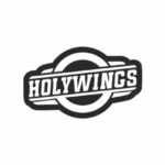 Lowongan Kerja Terbaru PT Aneka Bintang Gading (Holywings Group)