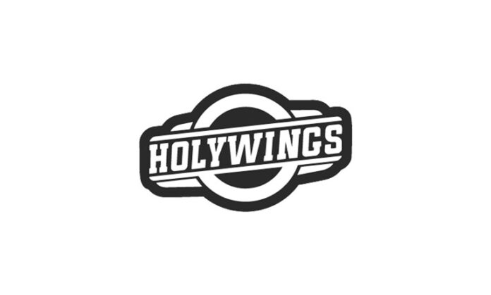 Lowongan Kerja Terbaru PT Aneka Bintang Gading (Holywings Group)