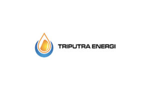 Lowongan Kerja PT Triputra Energi Megatara (TEM)