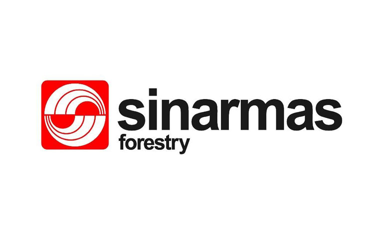 Lowongan Kerja PT SinarMas Forestry